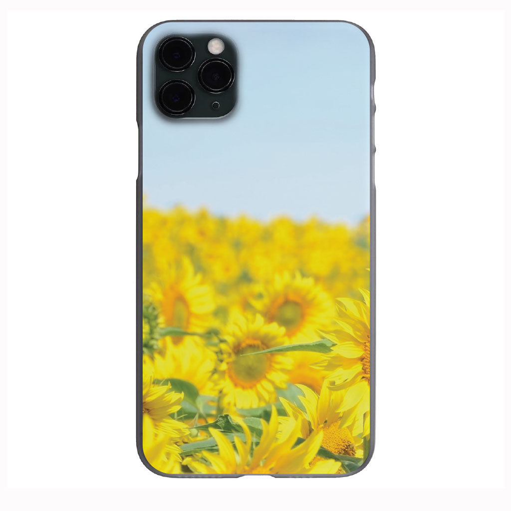 Sunflower Haze Phone Case for iPhone 7 8 X XS XR SE 11 12 13 14 Pro Max Mini Note 10 20 s10 s10s s20 s21 20 Plus Ultra